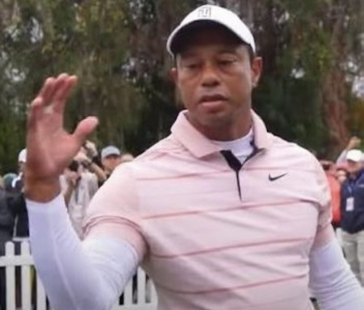 Evan Rivera tweet media