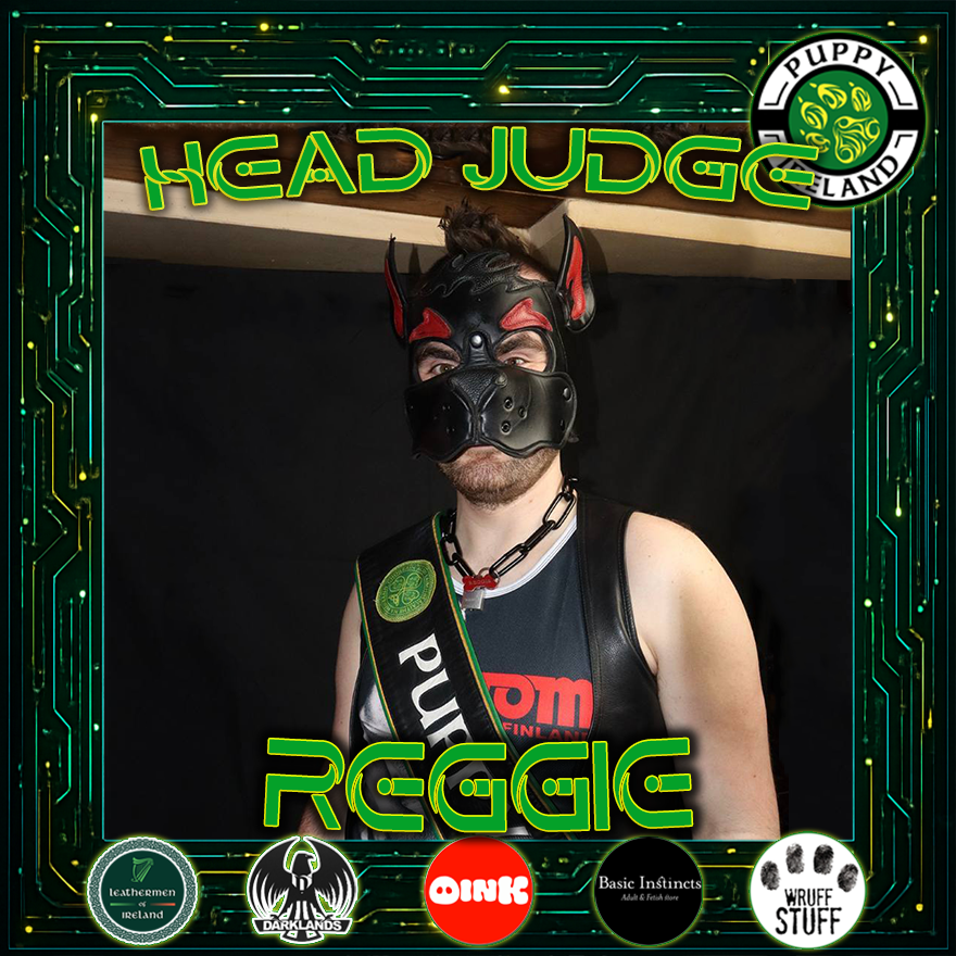 Introducing your #PuppyIreland2026 Head Judge - Pup Reggie!
<a href="/PupReggie/">PupReggie</a> 
 
#DLW2026 #PuppyIreland #PaHI