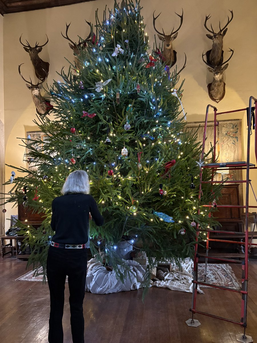 Jane Solomons tweet media