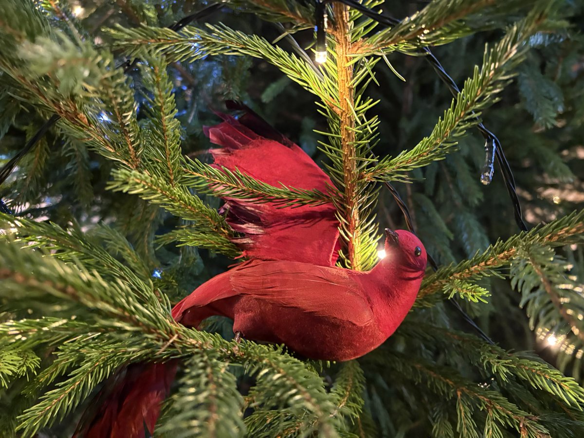 Jane Solomons tweet media