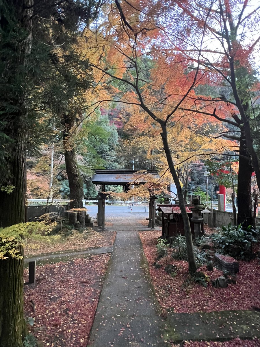 fsnl20014019's tweet photo. ギリギリの紅葉見れた🍁
#紅葉 #写真好きな人と繋がりたい 
#神社巡り https://t.co/COUeRDJN0a