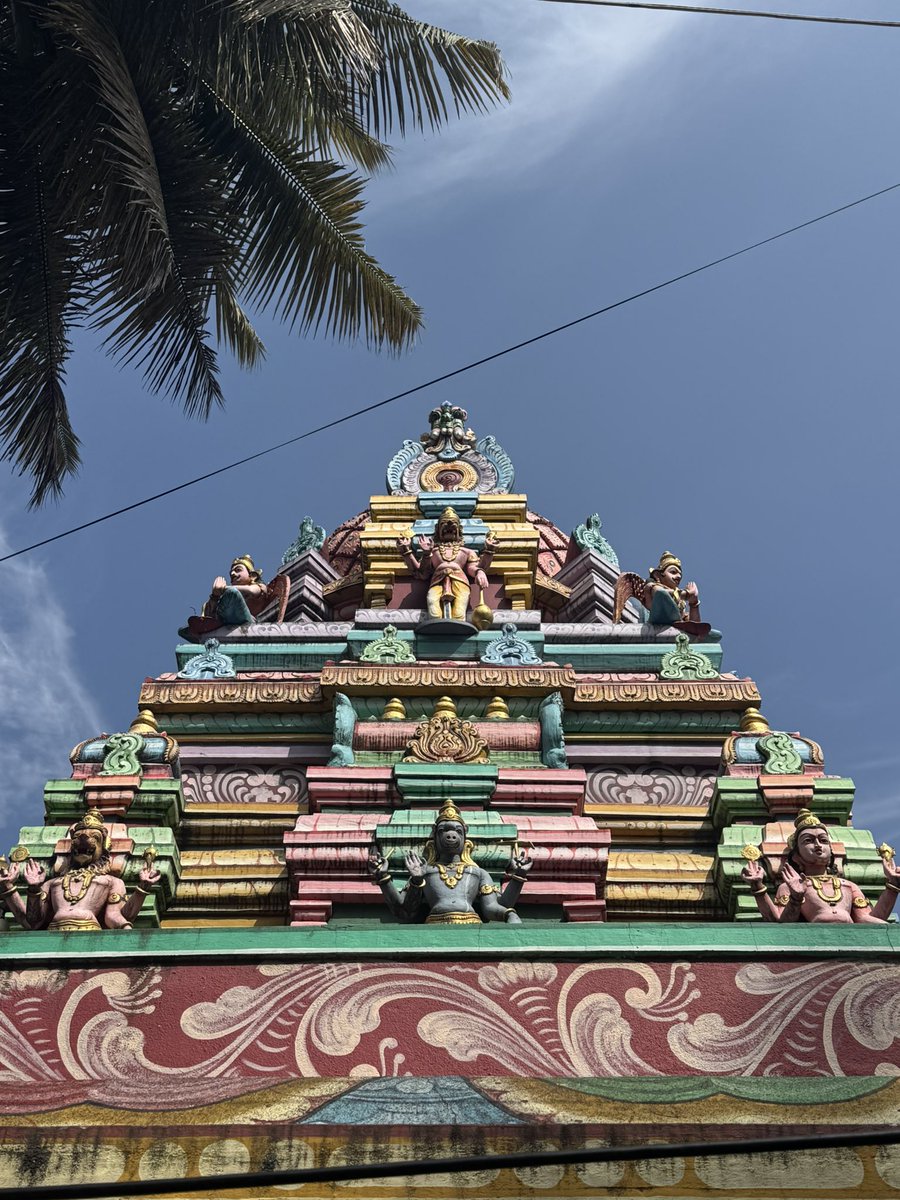 William Stevens tweet media