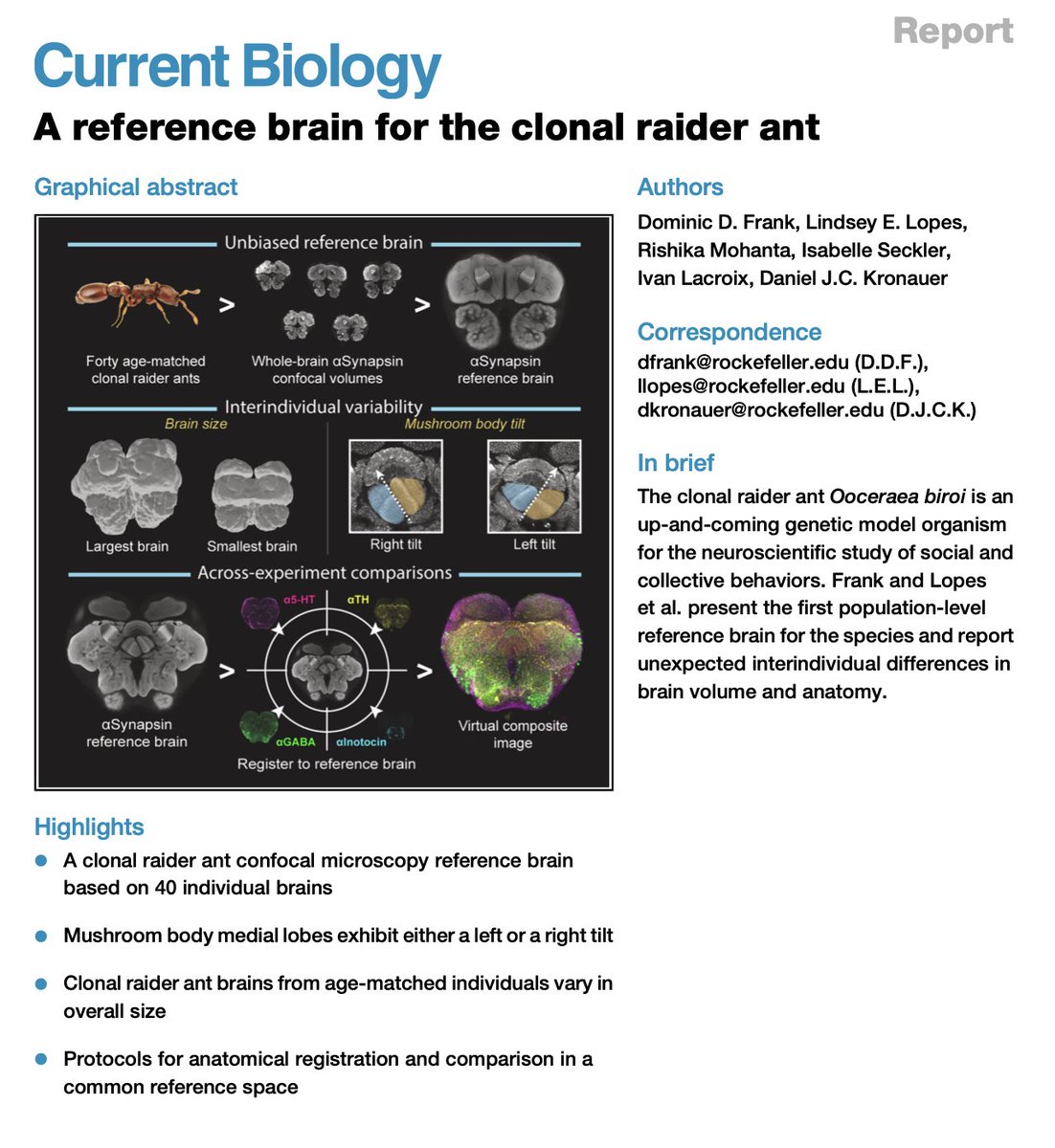 Niko McCarty. tweet media