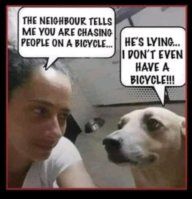 Dog Lovers Core tweet media