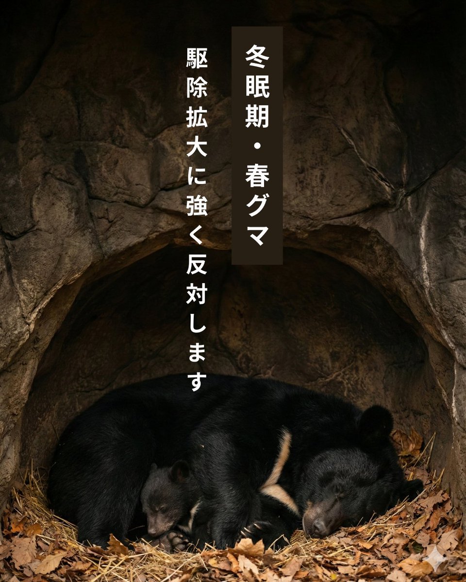 miyatakazuhiro's tweet image. 最近の動物関連、
特に熊に対する
過剰なまでの先入観を植え付ける
マスゴミによる情報操作🗑

良識ある日本国民なら、
それを鵜呑みにするなよ！

それならいっその事、
俺個人で山を買うから
熊にはそこで生活して欲しいです☝️

それに関連し、
色々と水面下では
ベストになるように動いてます👋