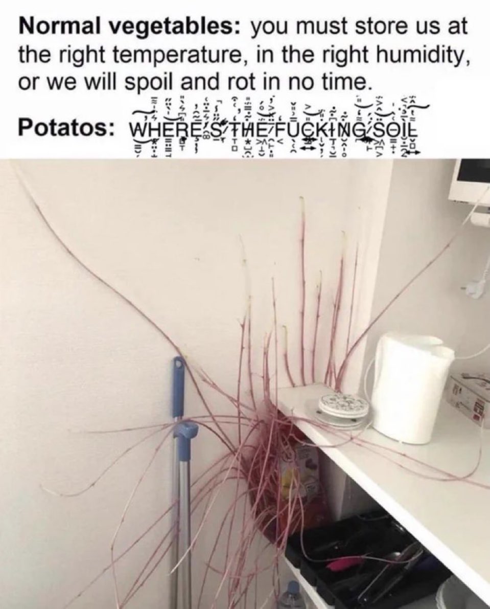 memechaotic's tweet image. 