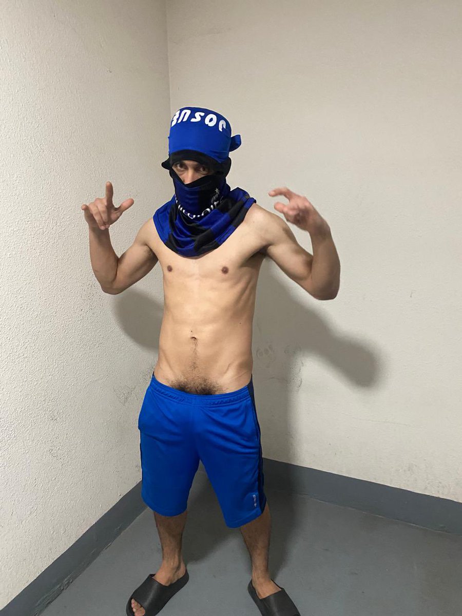 joss 🇨🇱🇻🇪🇵🇪 tweet media