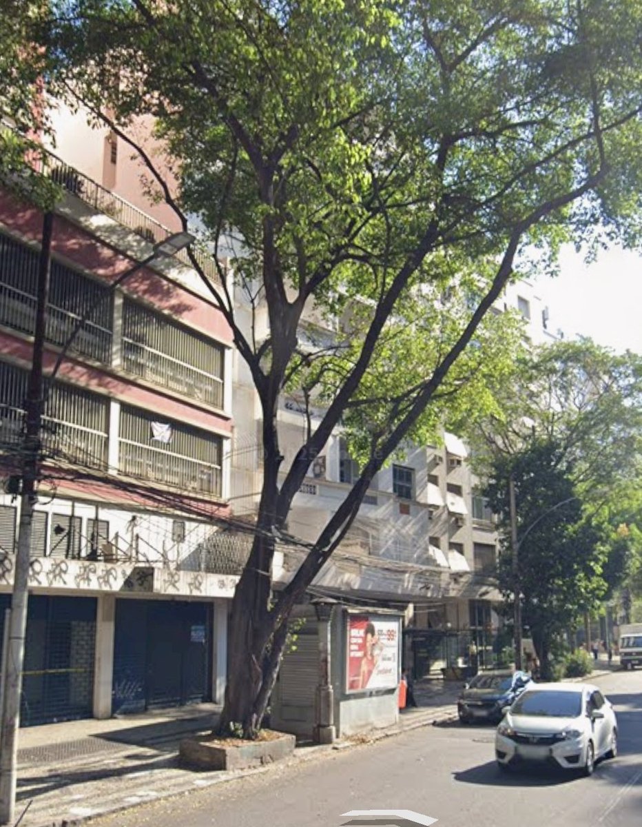 belom4tt's tweet image. cortaram a árvore do meu ponto de ônibus faltando 15 dias pra começar o verão, puta que pariuuuu