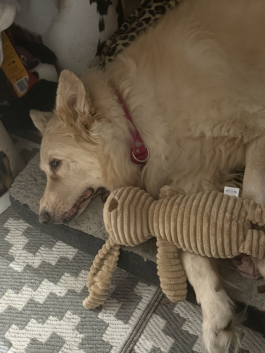 char🩷💚🐥(saw skz 🥹)saw enha🥹) tweet media