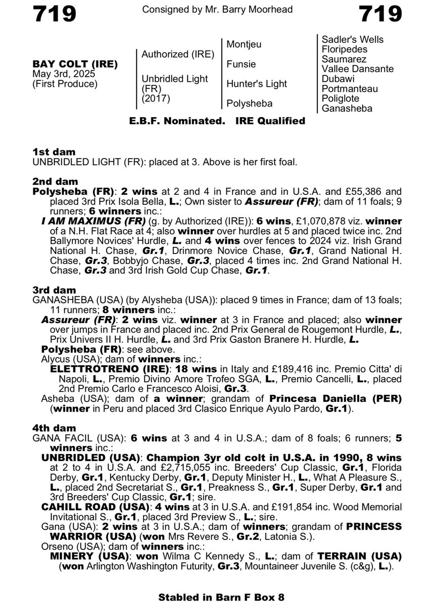 One of our clients has 2 foals entered <a href="/Goffs1866/">Goffs</a> NH sales: one is very closely related to Gr1 winner I Am Maximus.
Ready for viewing from tomorrow morning.