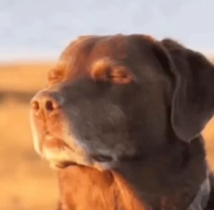 Lena_dManifest's tweet image. "Como eu sei que eu assumi/estou no estado da vida revisada?"

Quando essa mesma pergunta passa a não fazer sentido. 

Boa tarde. 
#loatwt #ldstwt