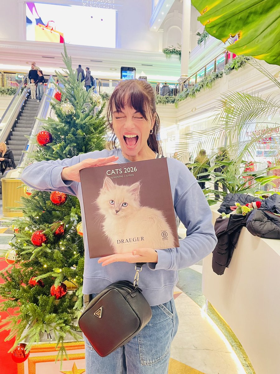 Que he comprado? Un disco de vinilo? NOOO!!! 
Es un calendario 2026 de michis!

🐱 🐈 🐈‍⬛ ❤️❤️❤️❤️❤️
