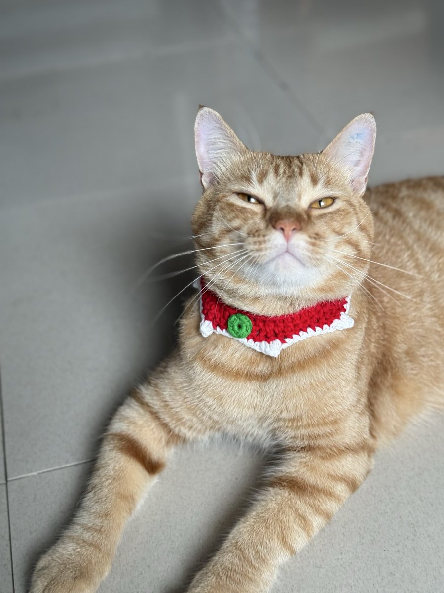 DemonyoAnghel's tweet photo. Holiday seasonโฆ ๐น๐ฝ๐ธ
#furdaddy https://t.co/Zui27xaYRC
