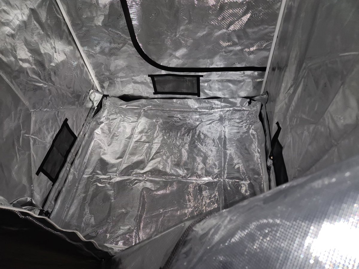 New 5x5 gorilla grow tent ,this thing is fricken massive man!! Anybody using gorilla grow tents? Best build quality of any tent ive purchased so far. I need to order a fc6500 evo before I start flowering the fc-e4800  is just a little too small for a 5x5 during flower