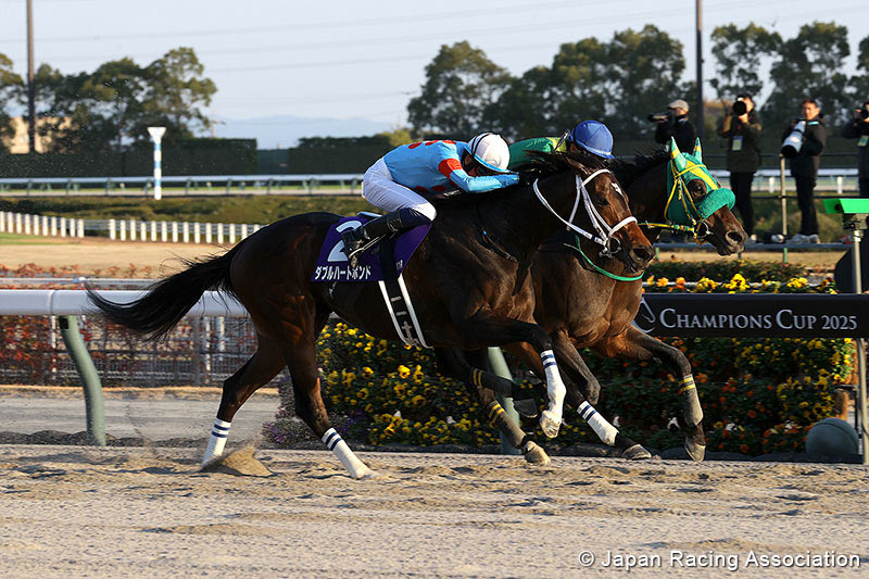 HorseRacing_JPN's tweet image. Four-Year-Old Filly W Heart Bond Captures Her First G1 Title in the Champions Cup
japanracing.jp/_news2025/2512…
#horseracing #jra