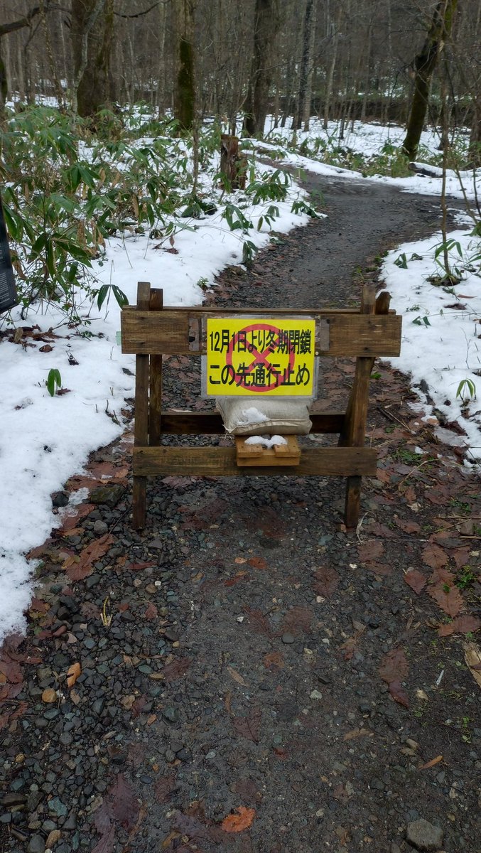 12月8日(月)#奥入瀬 の天気】 雨☔のち晴れ☀ 降水確率am90% pm60