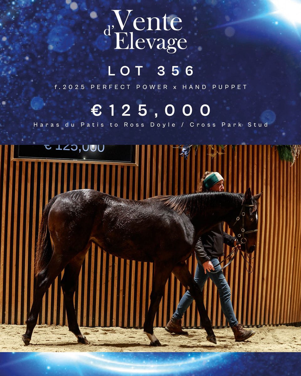 Thrilled to secure a half-sister to our own Sunset Park🖤🖤 An elite family with great potential  - big things ahead for this filly who was an awesome physical.  Huge thanks to Ross Doyle whom we have an outstanding partnership &amp; track record. Deny Knowledge, Sunset Park.....from