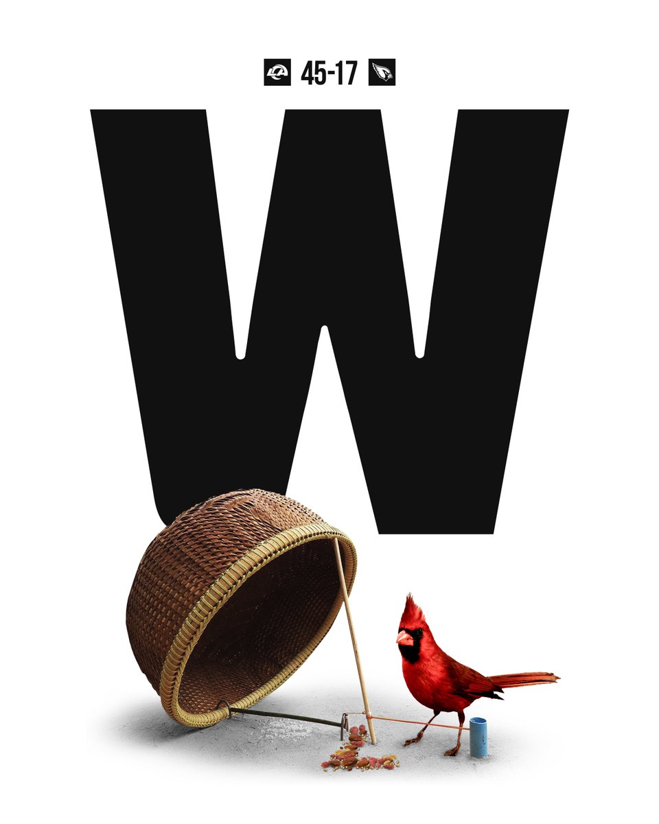 * bird calling noises *