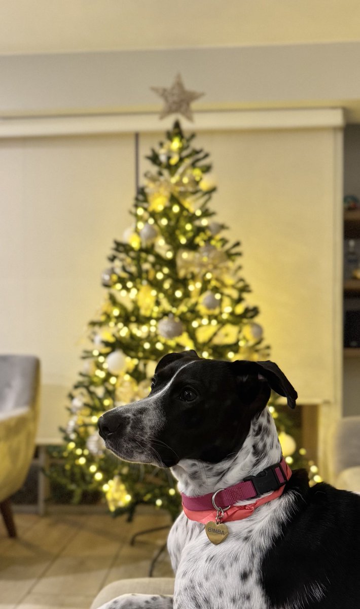 lbpc14's tweet image. 🤍