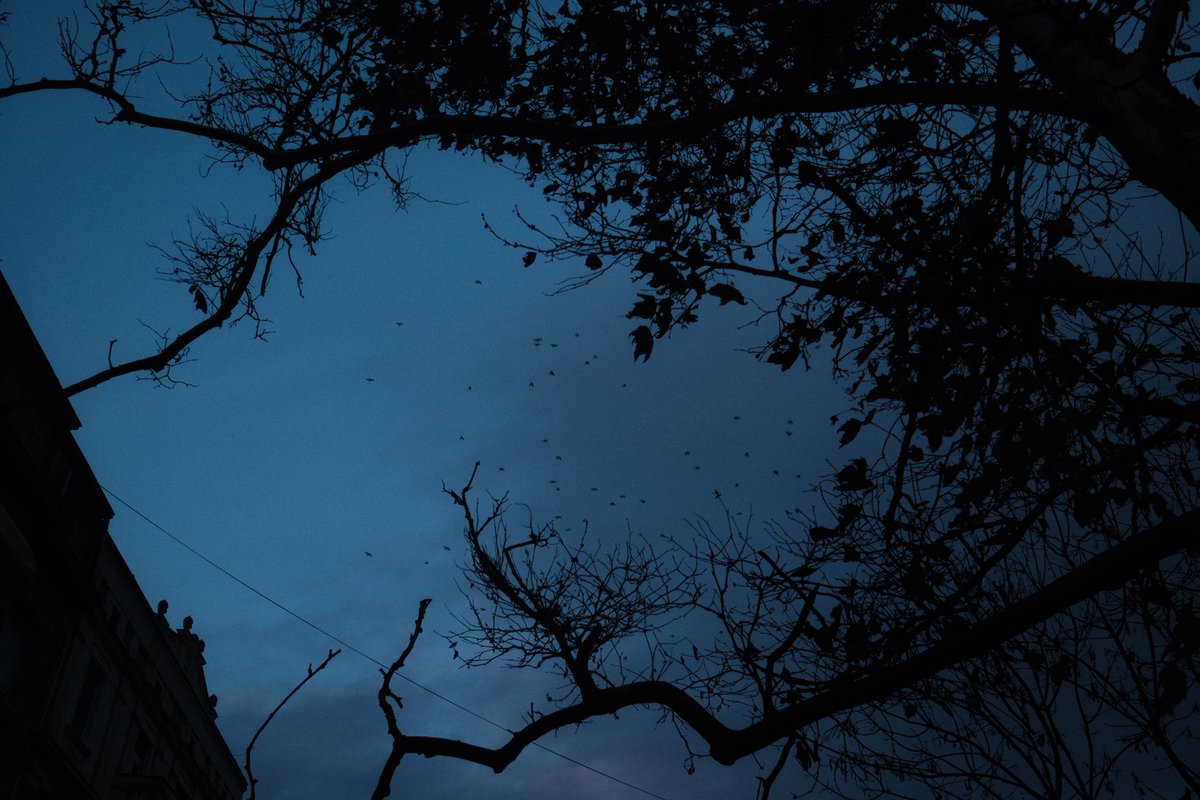 Сегодня одиноко, но завтра будет новый день