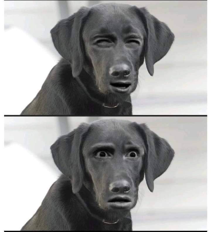 David (@nopcontext) on Twitter photo 