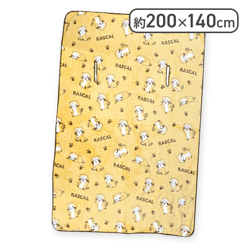 CCatcherApp's tweet image. 💛🦝 入荷案内🦝💛

#ラスカル スマホタイムブランケット　 

ぬくぬくしながらスマホを触れる画期的プライズ❣️✨
ブランケットいっぱいにラスカルがいてとってもキュート😍💕
持ち運びに便利なバッグ👜付きなのもうれしいポイント❗(ᗒᗨᗕ)

▼ゲームプレイはこちら
ccatcher.onelink.me/893388614/mllz…