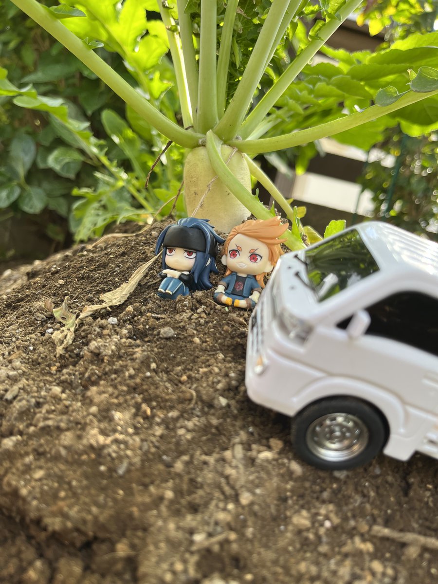 おはようございます☀
大根堀の季節ですね

今日も無理せずもっちり参りましょ🌹