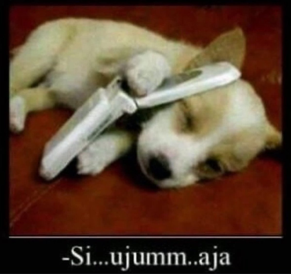 poxy (@7poxy) on Twitter photo 