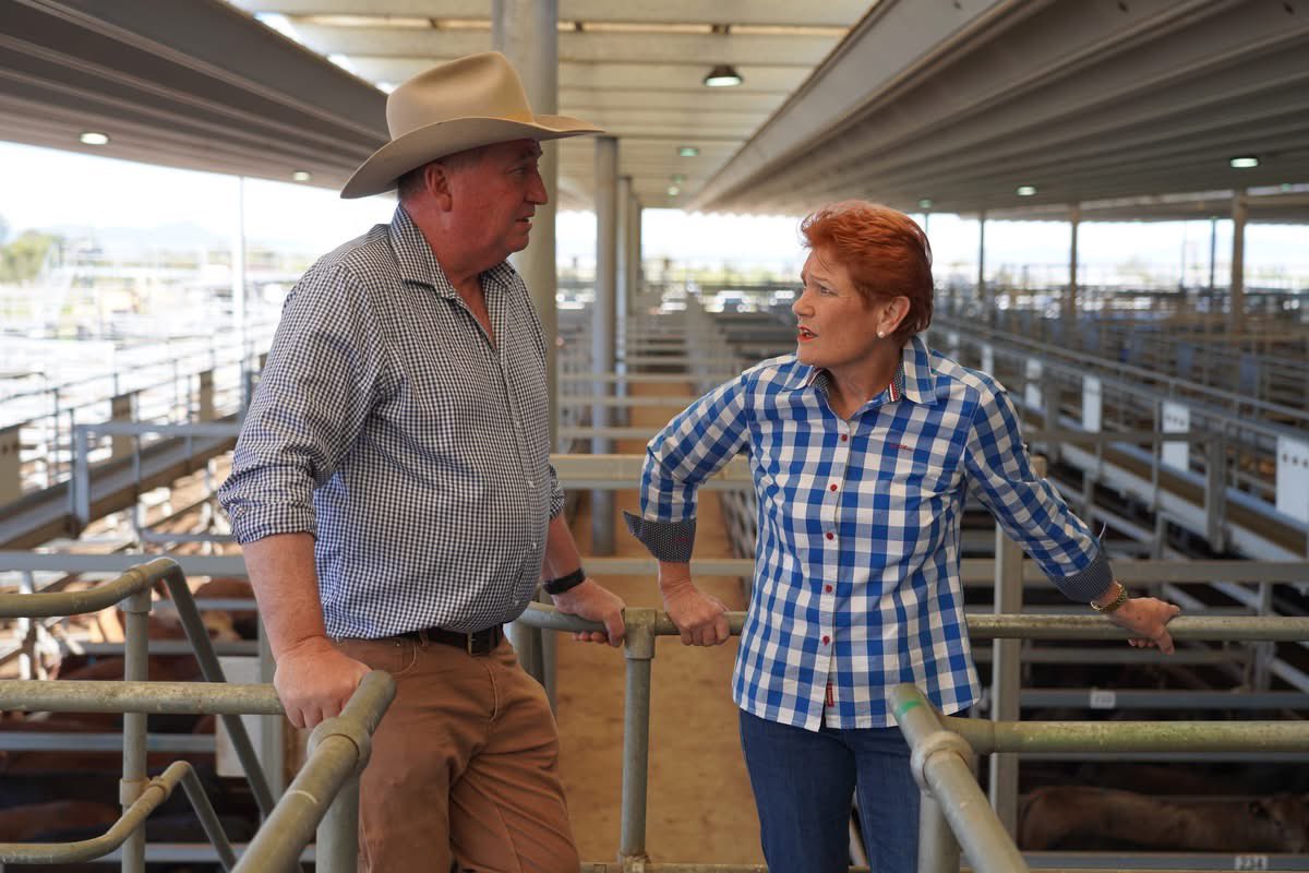 Pauline Hanson 🇦🇺 tweet media
