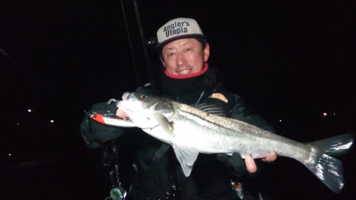 DAZsfishing's tweet photo. フランキー120fのダウンドリフト練習
友人にアドバイスもらったフランキー120fダウンドリフト釣法を練習しに行ってきました。なんと開始三投目で食いました。ラッキー
今日は3本でした。
#シーバス
#フランキー120f
#シーバスの探し方
#fimo
#凄腕 https://t.co/rNZ4SBSuTF