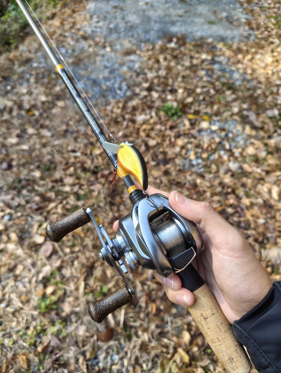 REALCORE (@REALCORE_JP) / Posts / X