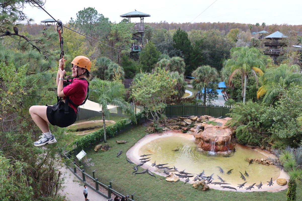 JClare85's tweet photo. Day 17. Great day at Gatorland. Ziplines, meeting Capybara and feeding Gators amoungst the highlights. Cracker Barrel for dinner https://t.co/aF5wboUEHX