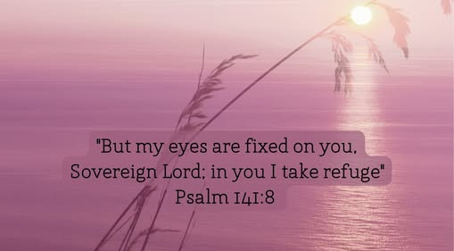 ~ Just Ann ~ (@justann321) on Twitter photo 