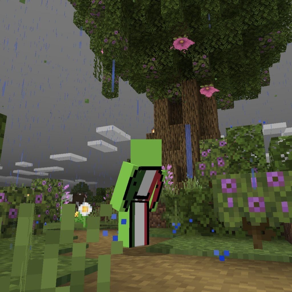 DSMPBase's tweet image. Mexican Dream lost in sea after boat breaks, left to fend for himself on Mr Beast Island