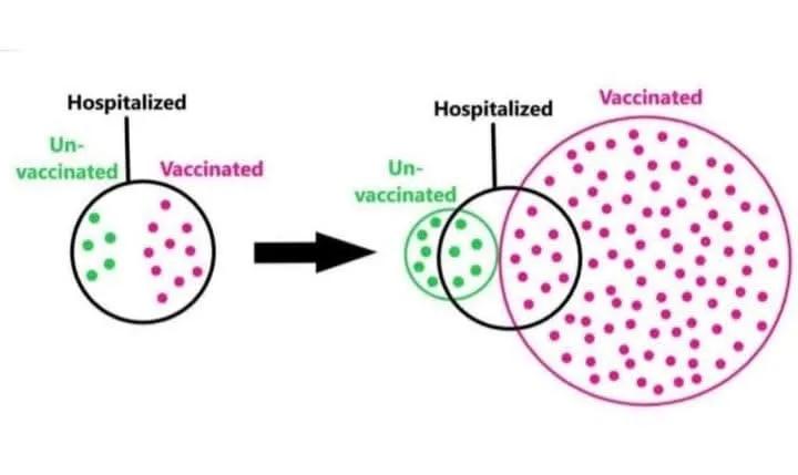 IanCopeland5's tweet image. A visual representation of one of the greatest lies ever told.

The tiny brain of the antivaxer sees it, but it fails to comprehend...