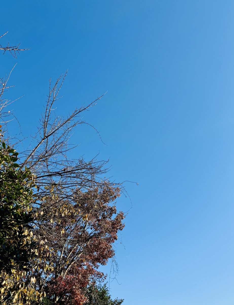 abeoffice_'s tweet photo. おはようございます
晴れの月曜、降水確率も0%のようです☀️
今週も無理せずいきましょう https://t.co/Uk3qOV6jNh
