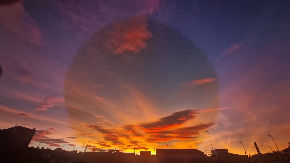 Roger Correm? tweet media