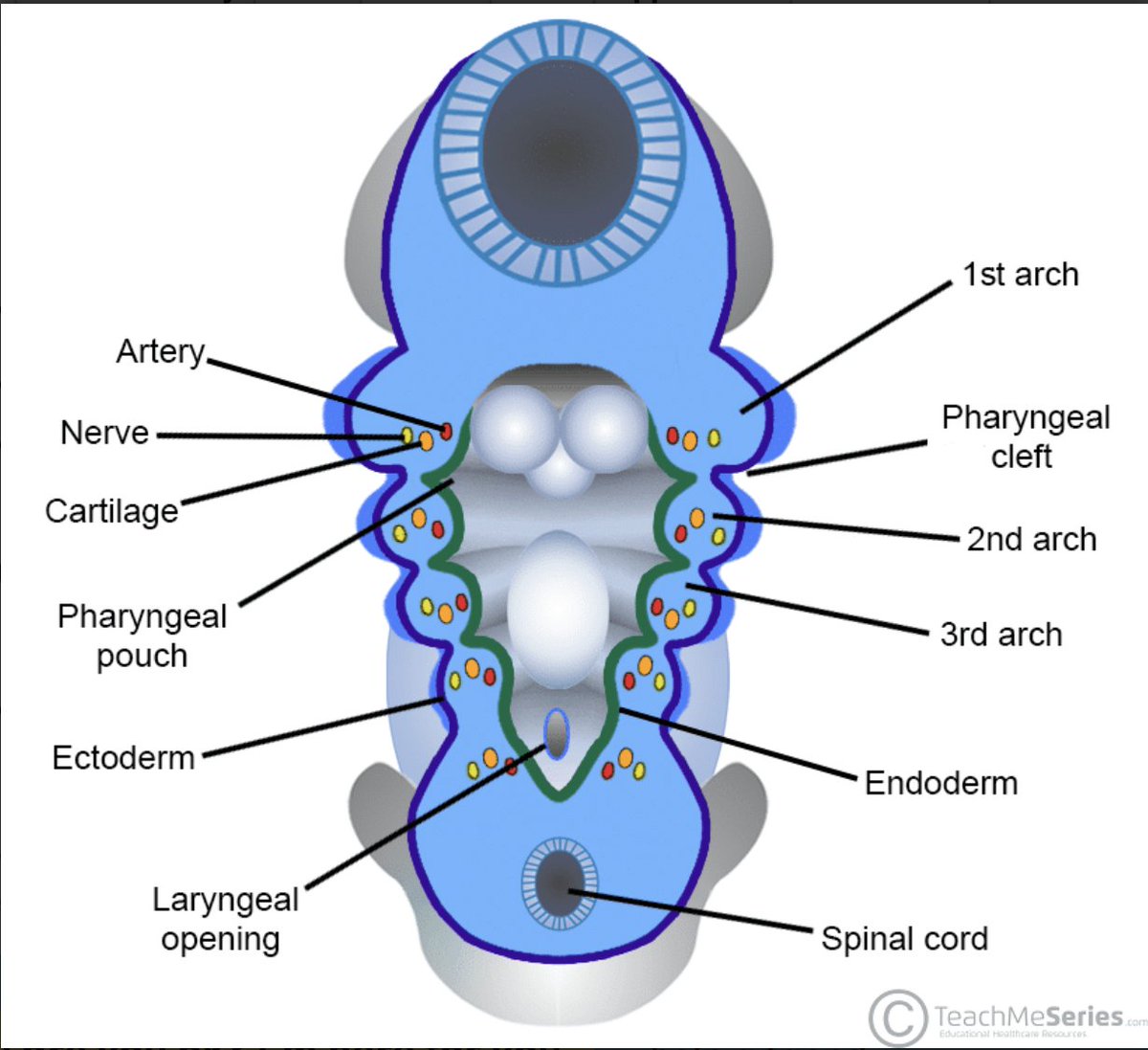 Michael Justus tweet media