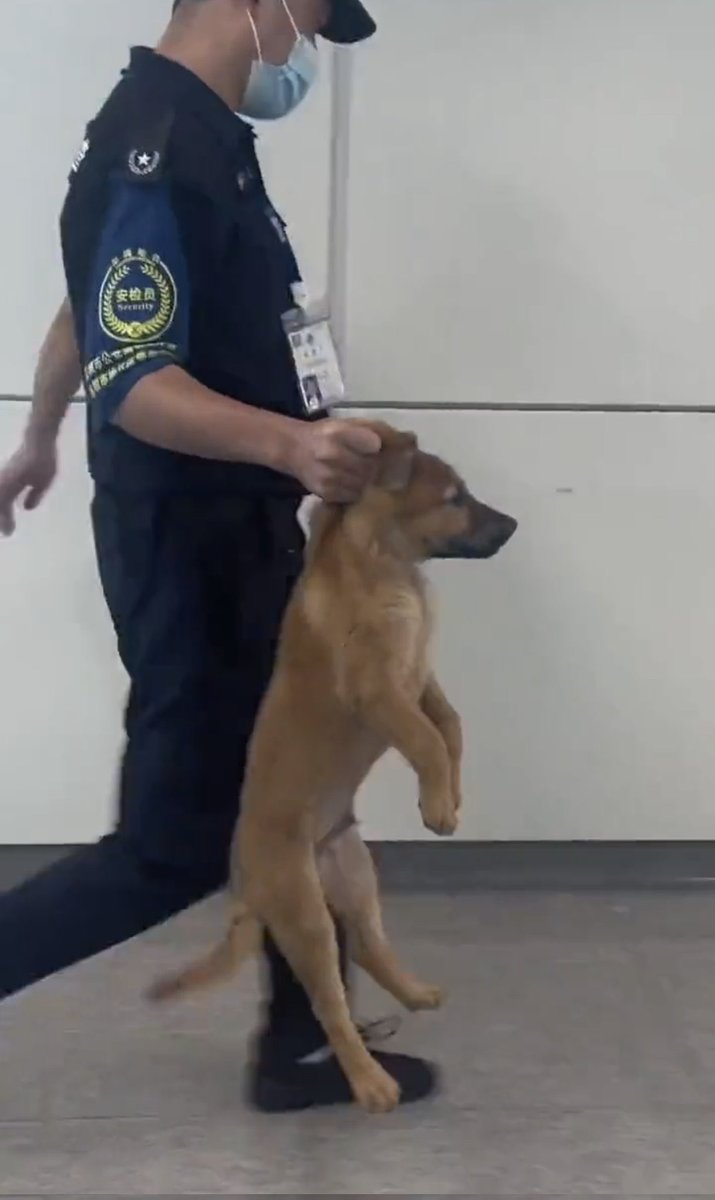 Thefive53's tweet image. Jye nize mpangara nguhangare hamwe nubuvanganzo, ariko Wowe ntawutazi ko wiheshe muritwe ngo uri umunyamakuru umunsi twasohoye ibyawe kasukuu azaguseka wumirwe 🤷🏽