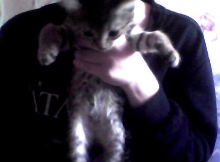 i'm hella lonely but we thug it out