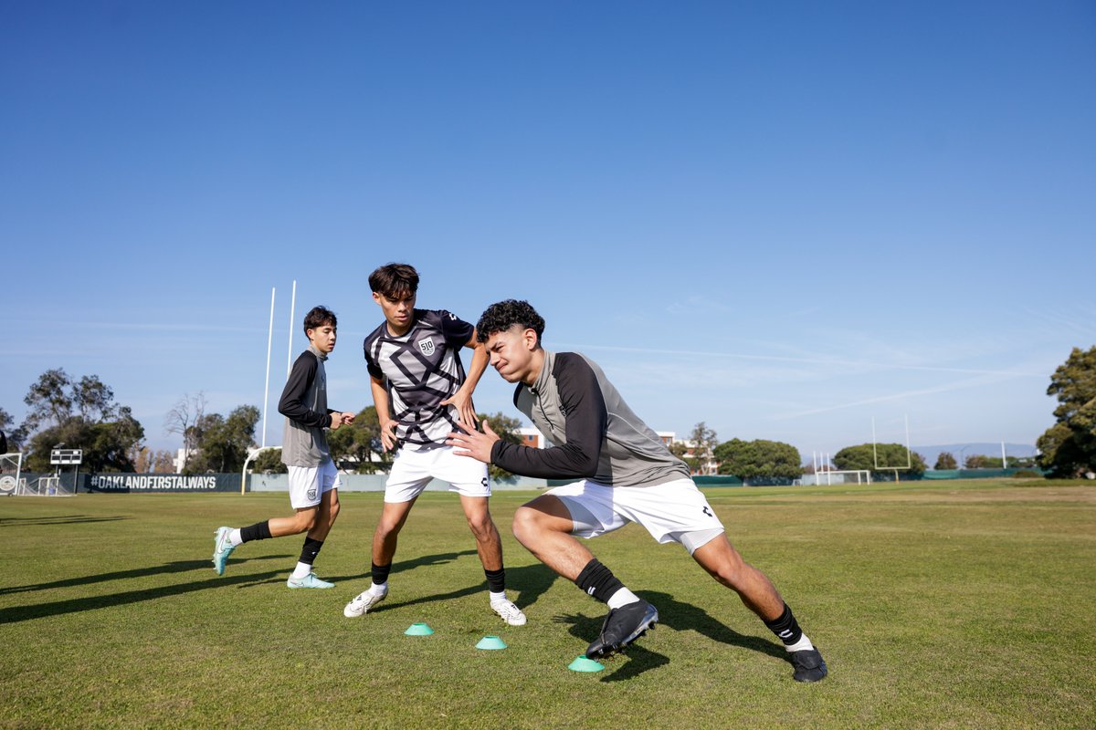 Project 51O tweet media