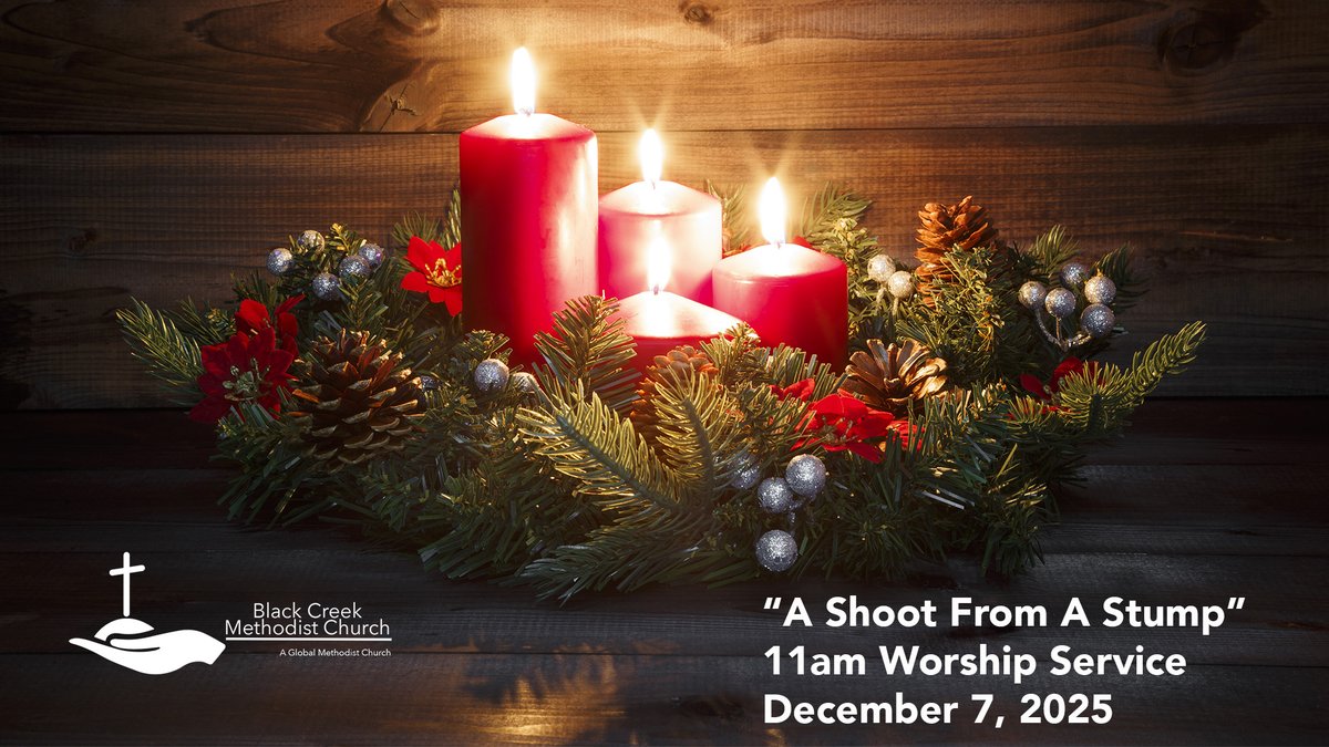 BCMethodist's tweet image. Today’s 11am Service is now available for you to view online.
youtu.be/CWbNChHQmxc
...even natural enemies will live in harmony, and the whole earth will be filled with the knowledge of the Lord. This Messiah will become a banner of hope for all nations.