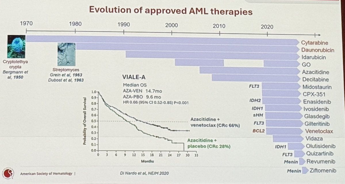 TalhaBadarMD's tweet photo. #ASH25 #ASHPlenary
Dr Wei: introducing the plenary #PARADIGM trial! #leusm https://t.co/AiOCKaEZVU