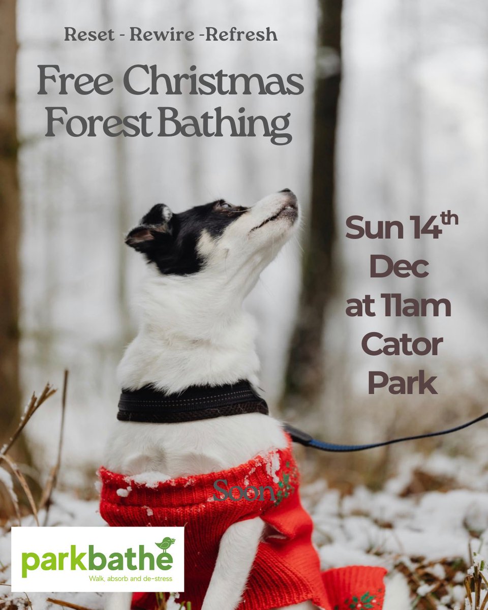 ParkBathe tweet media