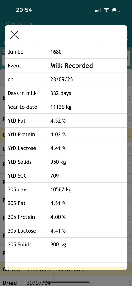 David moore tweet media