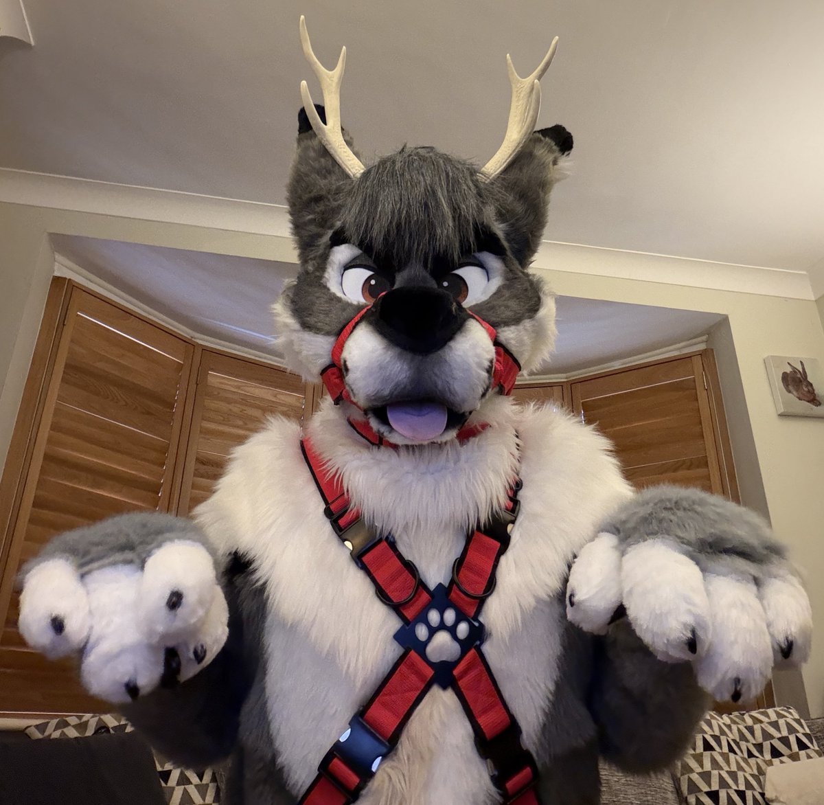 Ok? You asked me to beg. Here we go. What now? 😛