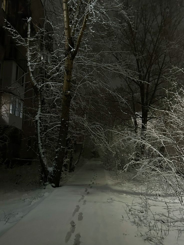 elemmiressoul's tweet photo. snowy night.🖤 https://t.co/XzDYXnlXHH