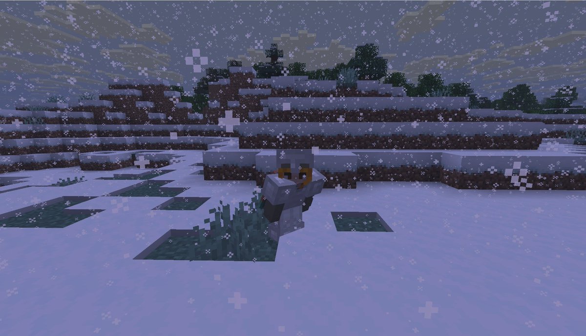 cottage_box tweet media