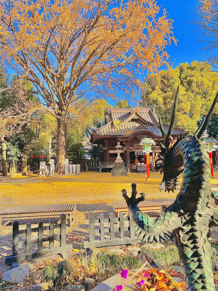 ロックランドナ | 花と神社と風景写真📸 (@RockRandonneur) / Posts / X