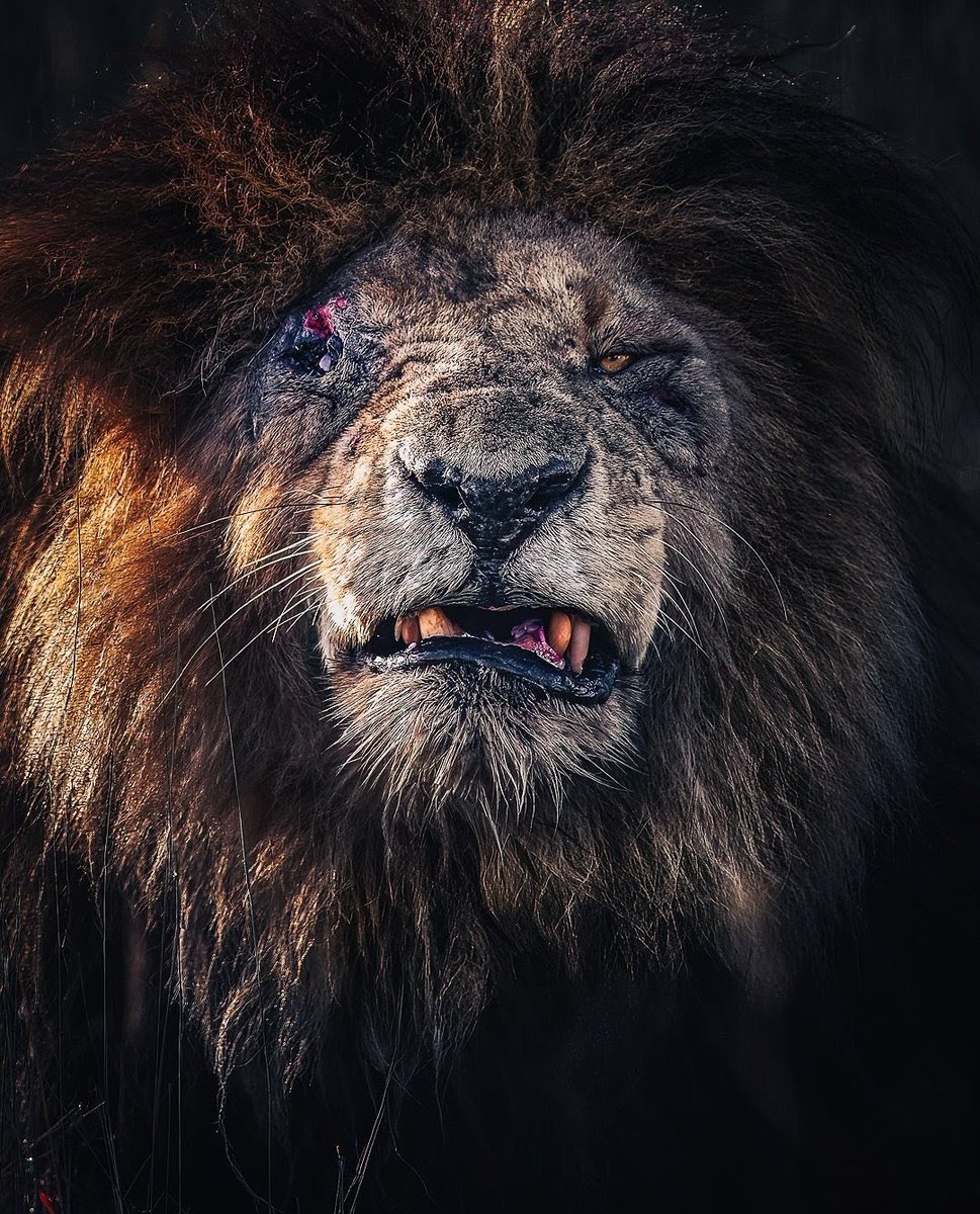 FortalezaNET's tweet image. Série B 2026

Parabéns aos envolvidos